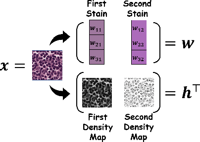 Figure 3 for FedSDA: Federated Stain Distribution Alignment for Non-IID Histopathological Image Classification