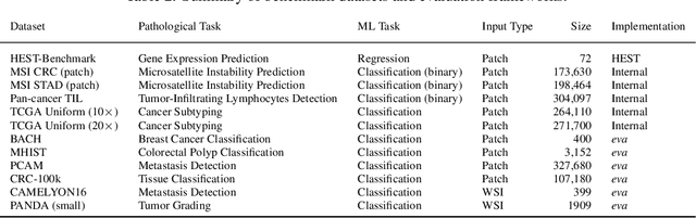 Figure 4 for Atlas: A Novel Pathology Foundation Model by Mayo Clinic, Charité, and Aignostics