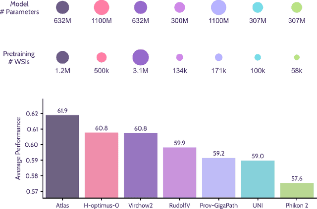 Figure 1 for Atlas: A Novel Pathology Foundation Model by Mayo Clinic, Charité, and Aignostics