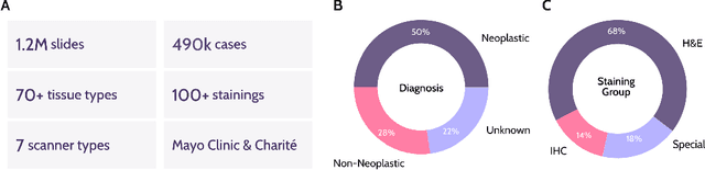 Figure 3 for Atlas: A Novel Pathology Foundation Model by Mayo Clinic, Charité, and Aignostics