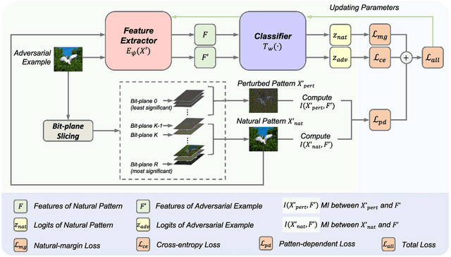 Figure 4 for F$^2$AT: Feature-Focusing Adversarial Training via Disentanglement of Natural and Perturbed Patterns