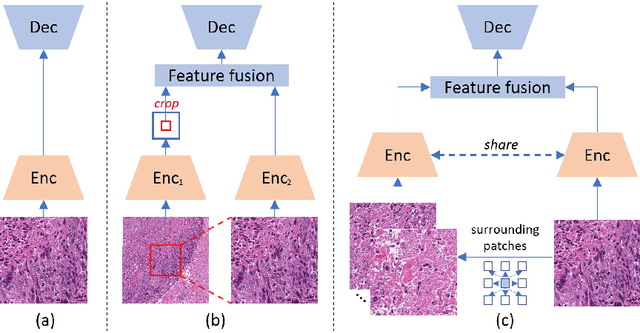 Figure 3 for Towards Effective and Efficient Context-aware Nucleus Detection in Histopathology Whole Slide Images