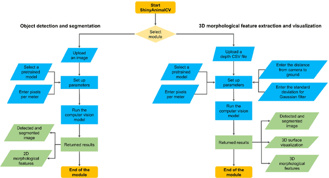 Figure 1 for Technical note: ShinyAnimalCV: open-source cloud-based web application for object detection, segmentation, and three-dimensional visualization of animals using computer vision