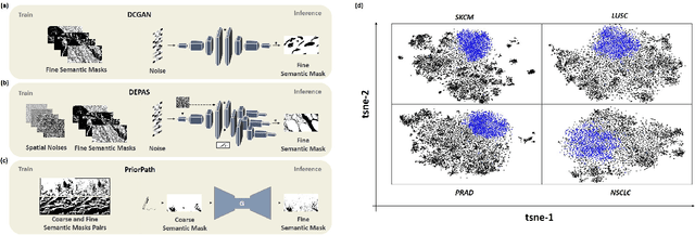 Figure 1 for PriorPath: Coarse-To-Fine Approach for Controlled De-Novo Pathology Semantic Masks Generation
