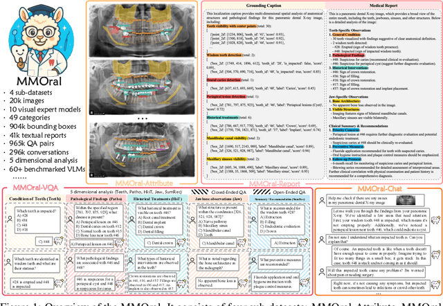 Figure 1 for Towards Better Dental AI: A Multimodal Benchmark and Instruction Dataset for Panoramic X-ray Analysis