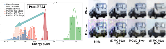 Figure 1 for PureEBM: Universal Poison Purification via Mid-Run Dynamics of Energy-Based Models