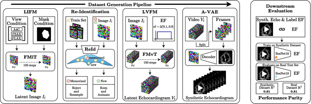 Figure 1 for EchoFlow: A Foundation Model for Cardiac Ultrasound Image and Video Generation