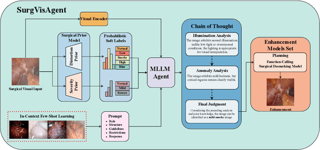 Figure 1 for SurgVisAgent: Multimodal Agentic Model for Versatile Surgical Visual Enhancement