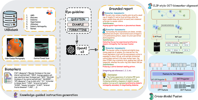 Figure 3 for GROK: From Quantitative Biomarkers to Qualitative Diagnosis via a Grounded MLLM with Knowledge-Guided Instruction