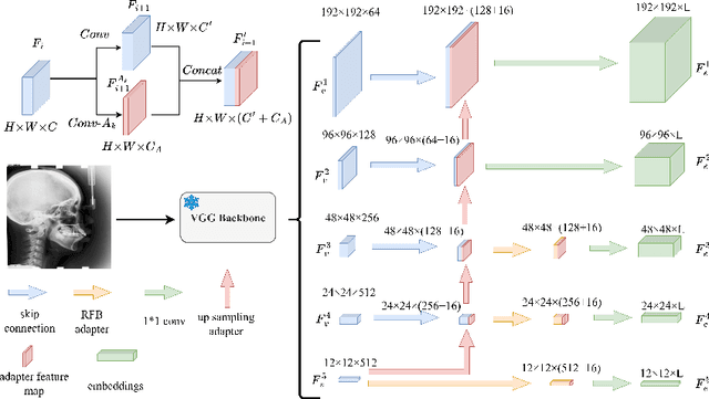 Figure 3 for Landmarks Are Alike Yet Distinct: Harnessing Similarity and Individuality for One-Shot Medical Landmark Detection