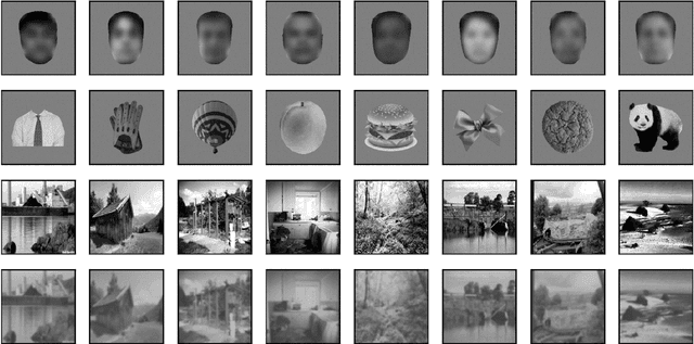 Figure 1 for Object recognition in primates: What can early visual areas contribute?