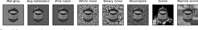 Figure 3 for Object recognition in primates: What can early visual areas contribute?