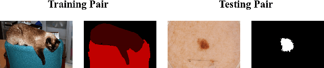 Figure 1 for DARNet: Bridging Domain Gaps in Cross-Domain Few-Shot Segmentation with Dynamic Adaptation