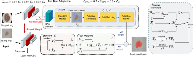 Figure 3 for DARNet: Bridging Domain Gaps in Cross-Domain Few-Shot Segmentation with Dynamic Adaptation