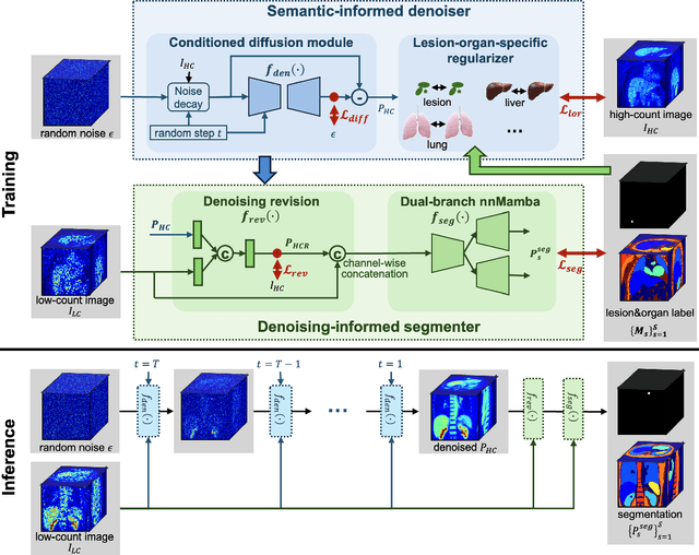 Figure 3 for Anatomically and Metabolically Informed Diffusion for Unified Denoising and Segmentation in Low-Count PET Imaging