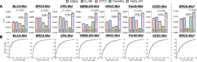 Figure 3 for Genome-Anchored Foundation Model Embeddings Improve Molecular Prediction from Histology Images