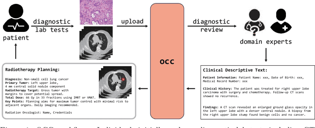 Figure 1 for A Language Vision Model Approach for Automated Tumor Contouring in Radiation Oncology