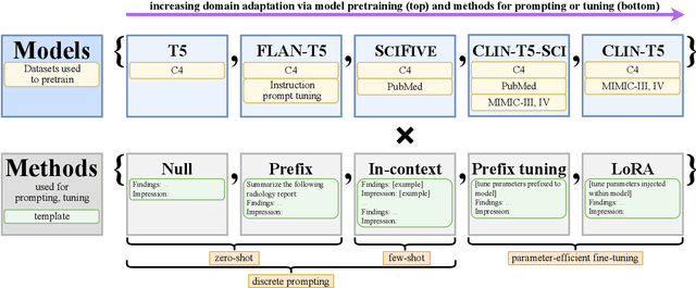 Figure 1 for RadAdapt: Radiology Report Summarization via Lightweight Domain Adaptation of Large Language Models