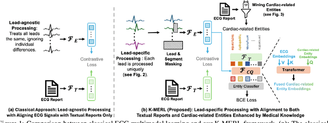 Figure 1 for Knowledge-enhanced Multimodal ECG Representation Learning with Arbitrary-Lead Inputs