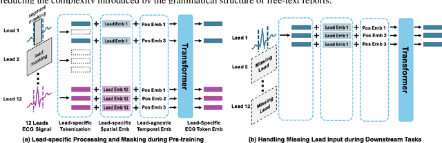 Figure 2 for Knowledge-enhanced Multimodal ECG Representation Learning with Arbitrary-Lead Inputs