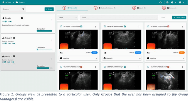 Figure 1 for MOSaiC: a Web-based Platform for Collaborative Medical Video Assessment and Annotation