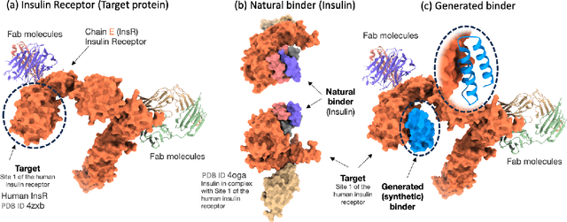 Figure 1 for Prot42: a Novel Family of Protein Language Models for Target-aware Protein Binder Generation