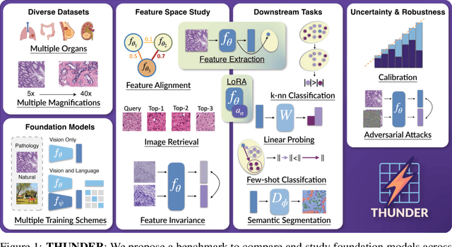 Figure 1 for THUNDER: Tile-level Histopathology image UNDERstanding benchmark