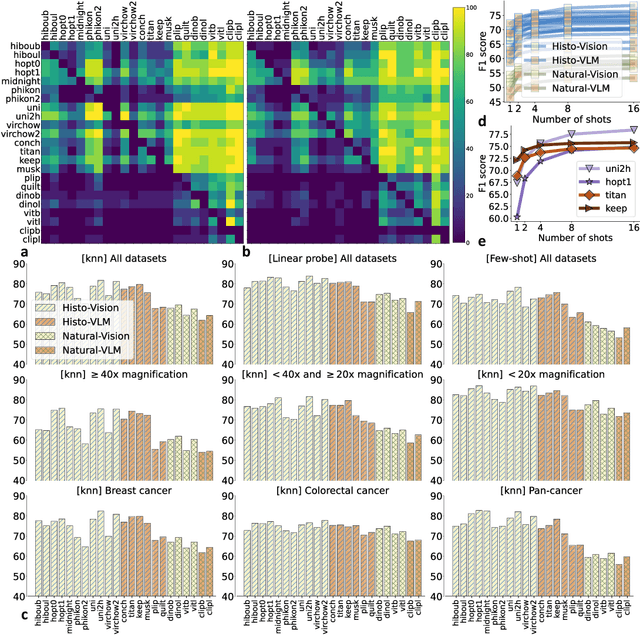 Figure 4 for THUNDER: Tile-level Histopathology image UNDERstanding benchmark