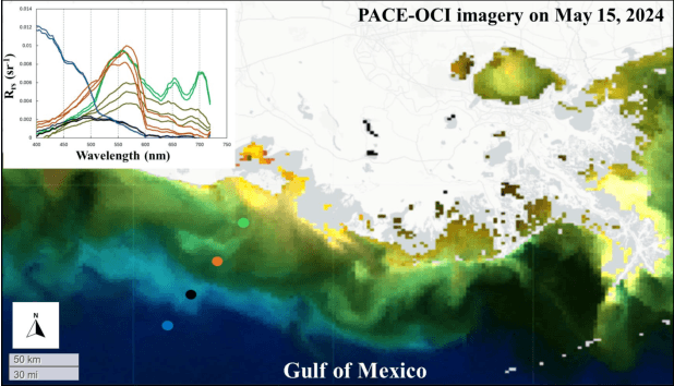 Figure 1 for Variational Autoencoder Framework for Hyperspectral Retrievals (Hyper-VAE) of Phytoplankton Absorption and Chlorophyll a in Coastal Waters for NASA's EMIT and PACE Missions