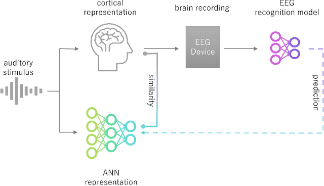 Figure 1 for Predicting Artificial Neural Network Representations to Learn Recognition Model for Music Identification from Brain Recordings