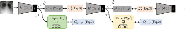 Figure 1 for Distilling BlackBox to Interpretable models for Efficient Transfer Learning