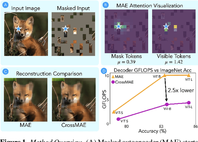 Figure 1 for Rethinking Patch Dependence for Masked Autoencoders