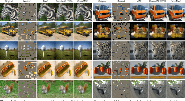 Figure 3 for Rethinking Patch Dependence for Masked Autoencoders