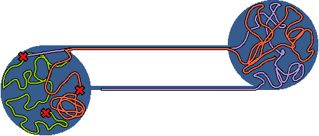 Figure 1 for Measure Preserving Flows for Ergodic Search in Convoluted Environments