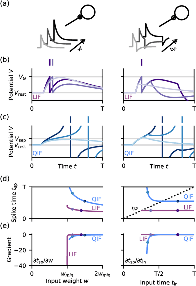 Figure 1 for Smooth Exact Gradient Descent Learning in Spiking Neural Networks