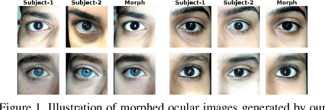 Figure 1 for DOOMGAN:High-Fidelity Dynamic Identity Obfuscation Ocular Generative Morphing