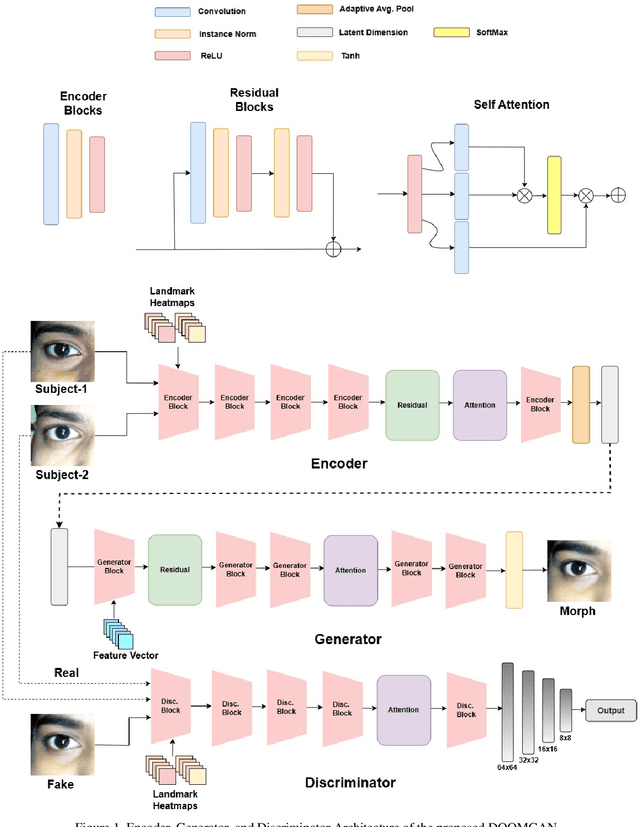 Figure 4 for DOOMGAN:High-Fidelity Dynamic Identity Obfuscation Ocular Generative Morphing