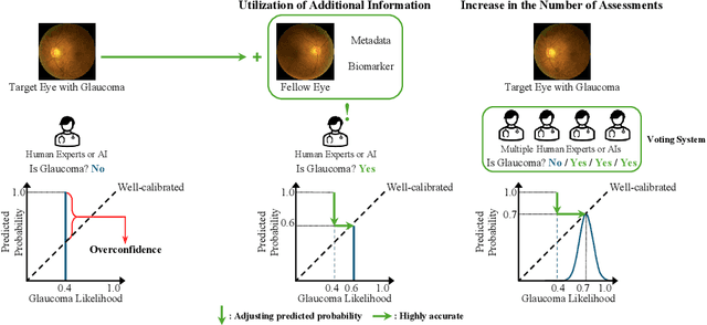 Figure 1 for Rethinking Glaucoma Calibration: Voting-Based Binocular and Metadata Integration