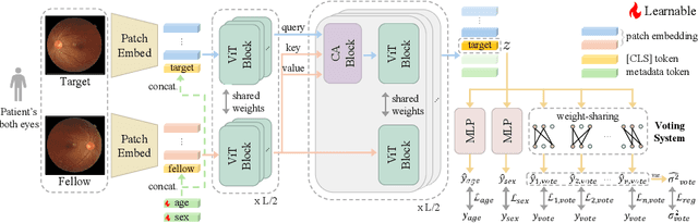 Figure 2 for Rethinking Glaucoma Calibration: Voting-Based Binocular and Metadata Integration