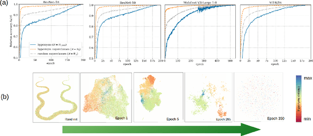 Figure 1 for Hypernym Bias: Unraveling Deep Classifier Training Dynamics through the Lens of Class Hierarchy