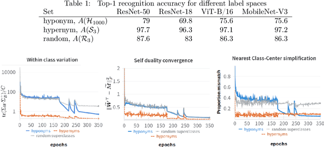 Figure 2 for Hypernym Bias: Unraveling Deep Classifier Training Dynamics through the Lens of Class Hierarchy