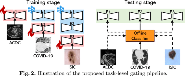 Figure 3 for Low-Rank Mixture-of-Experts for Continual Medical Image Segmentation