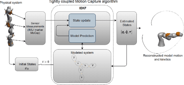 Figure 1 for A Tightly Coupled IMU-Based Motion Capture Approach for Estimating Multibody Kinematics and Kinetics