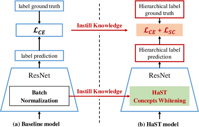 Figure 3 for Hierarchical Semantic Tree Concept Whitening for Interpretable Image Classification