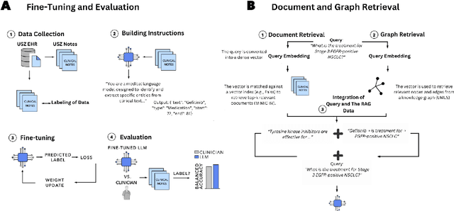 Figure 1 for Towards Scalable and Cross-Lingual Specialist Language Models for Oncology
