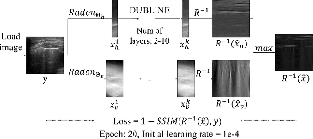 Figure 3 for DUBLINE: A Deep Unfolding Network for B-line Detection in Lung Ultrasound Images
