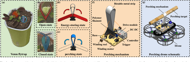 Figure 2 for Design and Control of a Perching Drone Inspired by the Prey-Capturing Mechanism of Venus Flytrap