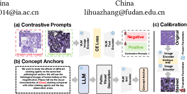Figure 1 for VLM-based Prompts as the Optimal Assistant for Unpaired Histopathology Virtual Staining
