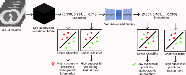 Figure 1 for Towards Fair Medical AI: Adversarial Debiasing of 3D CT Foundation Embeddings