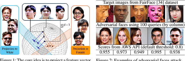 Figure 1 for Non-Adaptive Adversarial Face Generation